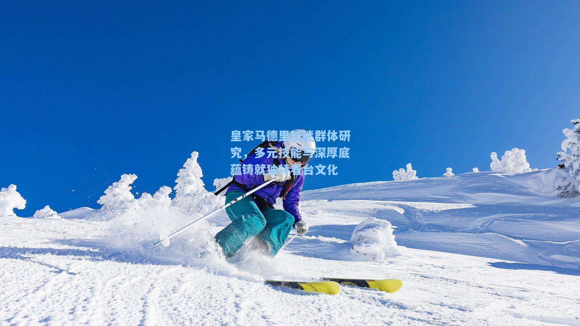 皇家马德里球迷群体研究,多元技能与深厚底蕴铸就独特看台文化