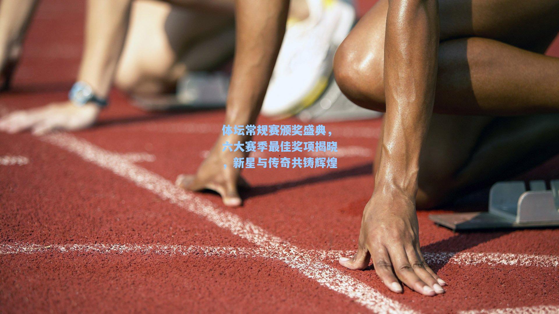 体坛常规赛颁奖盛典,六大赛季最佳奖项揭晓,新星与传奇共铸辉煌